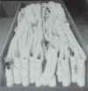 accordion load.jpg (34338 bytes)